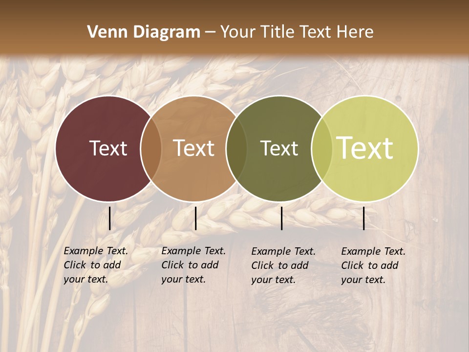 Agricultural Vertical Background PowerPoint Template
