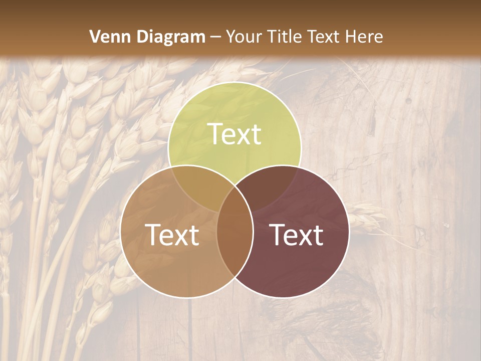 Agricultural Vertical Background PowerPoint Template