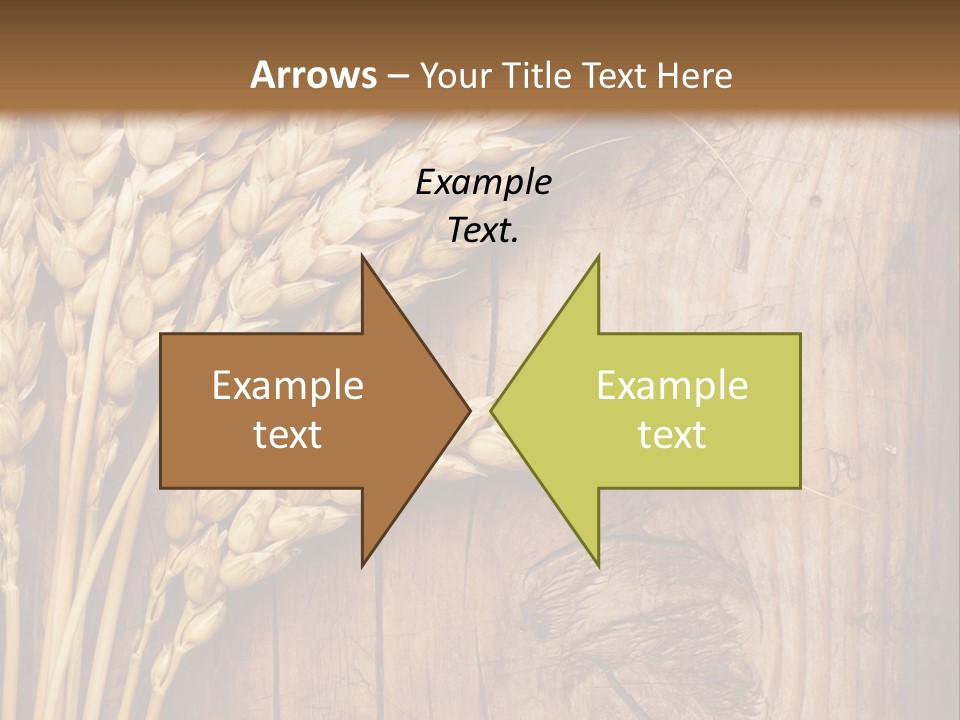 Agricultural Vertical Background PowerPoint Template