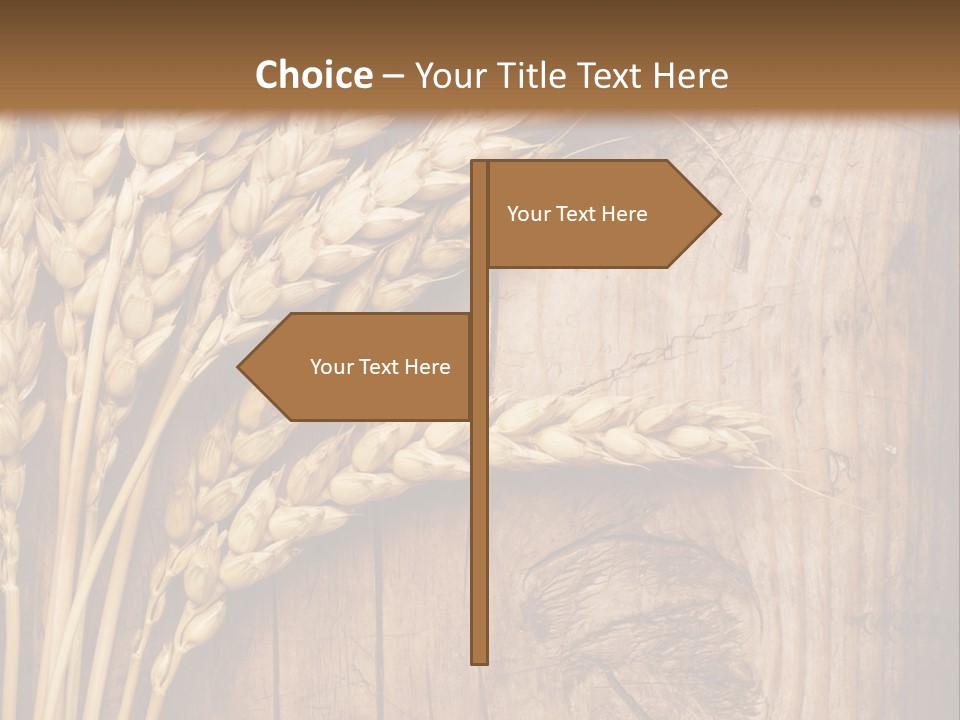 Agricultural Vertical Background PowerPoint Template