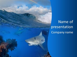 Fins Dorsal Diving PowerPoint Template