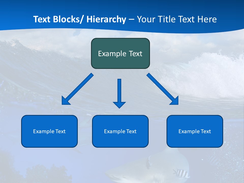 Fins Dorsal Diving PowerPoint Template