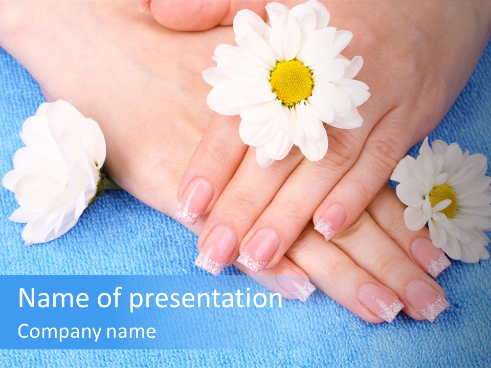 Polish Camomile Health PowerPoint Template