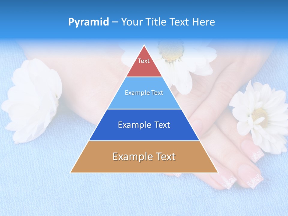 Polish Camomile Health PowerPoint Template