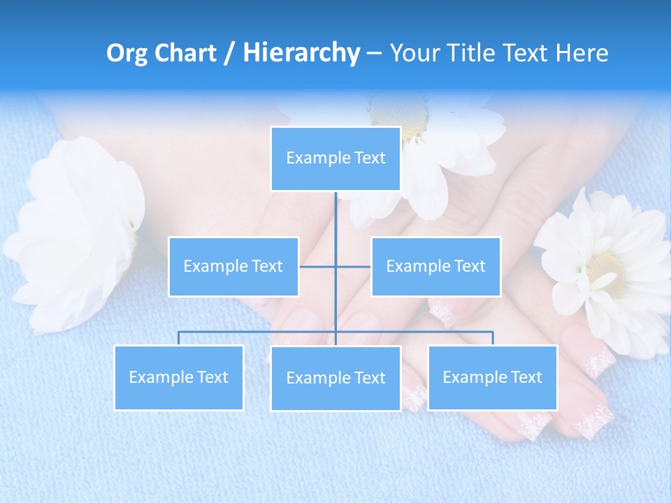 Polish Camomile Health PowerPoint Template