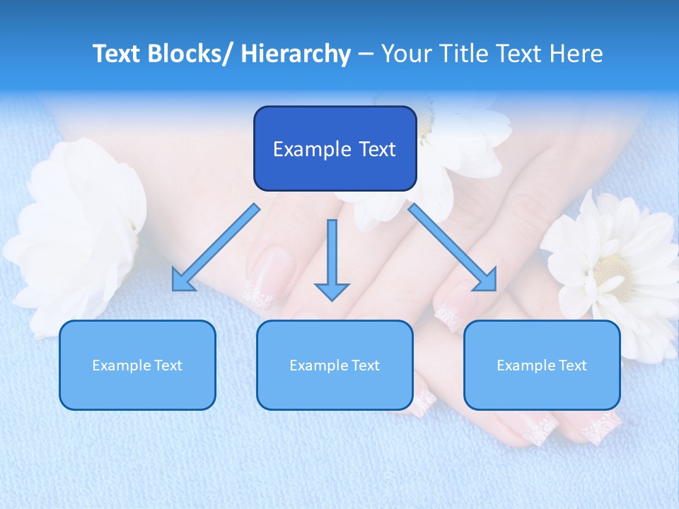 Polish Camomile Health PowerPoint Template