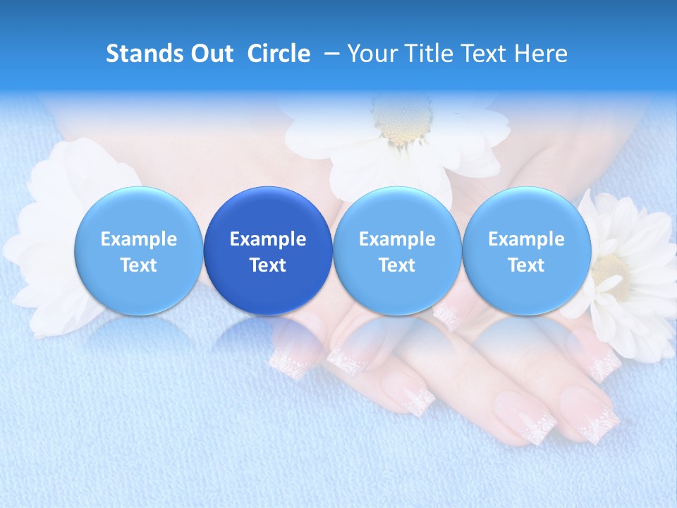 Polish Camomile Health PowerPoint Template