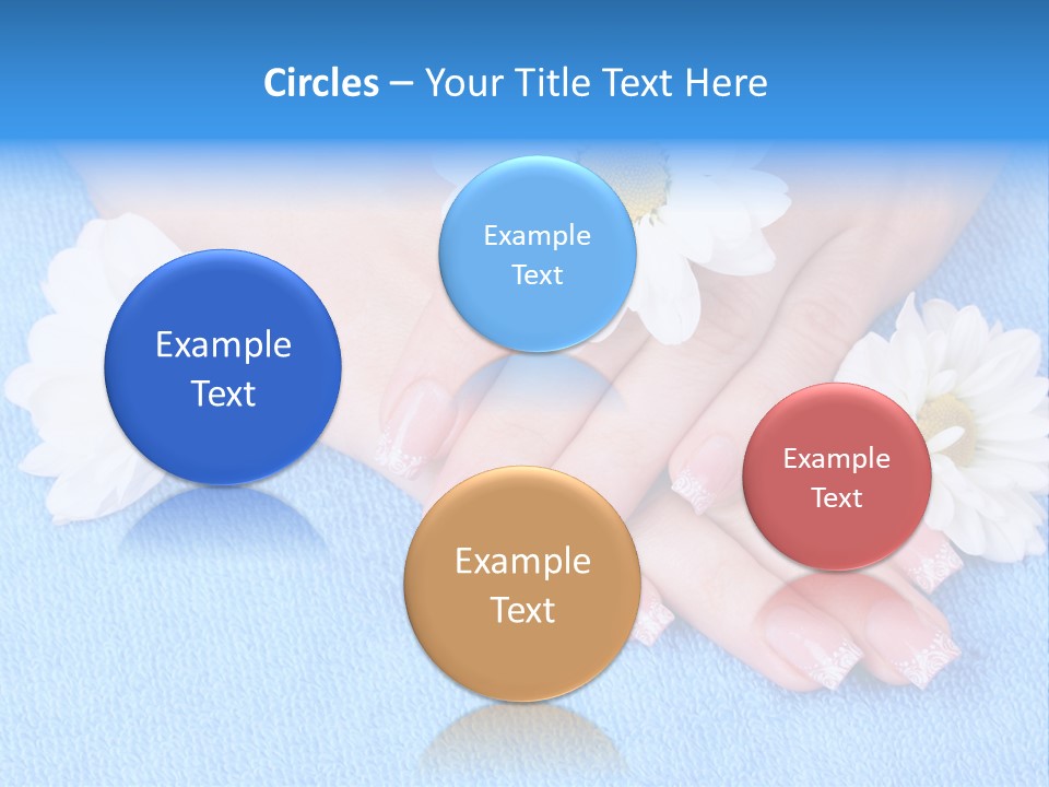 Polish Camomile Health PowerPoint Template