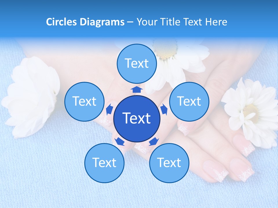 Polish Camomile Health PowerPoint Template