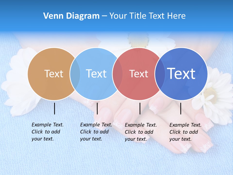 Polish Camomile Health PowerPoint Template