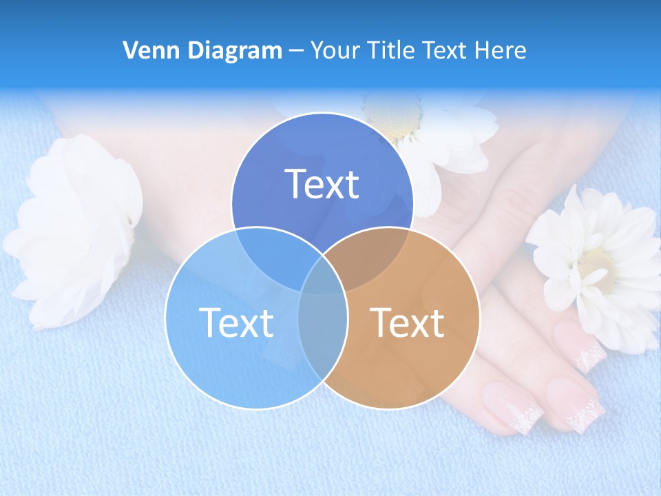 Polish Camomile Health PowerPoint Template