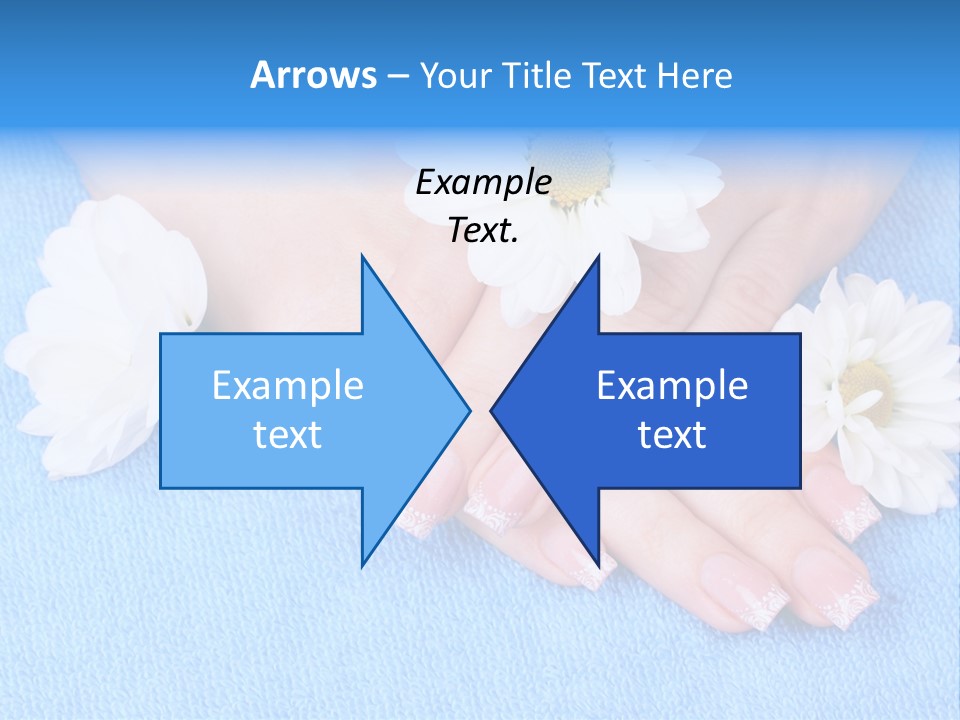 Polish Camomile Health PowerPoint Template