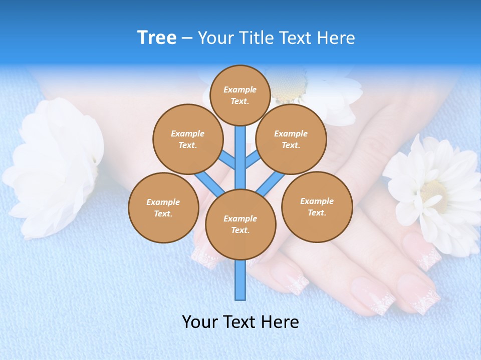Polish Camomile Health PowerPoint Template