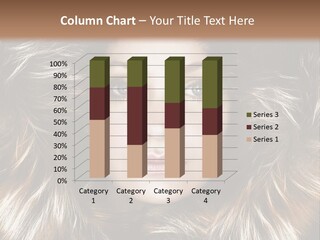 Fox Face Cold PowerPoint Template