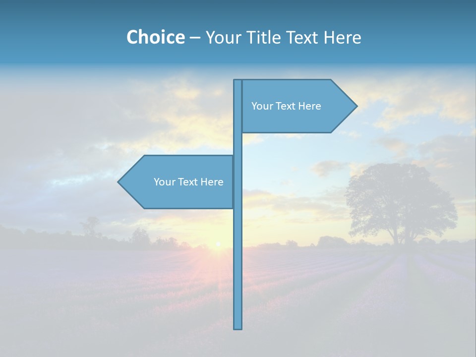 Sunset Green Color PowerPoint Template