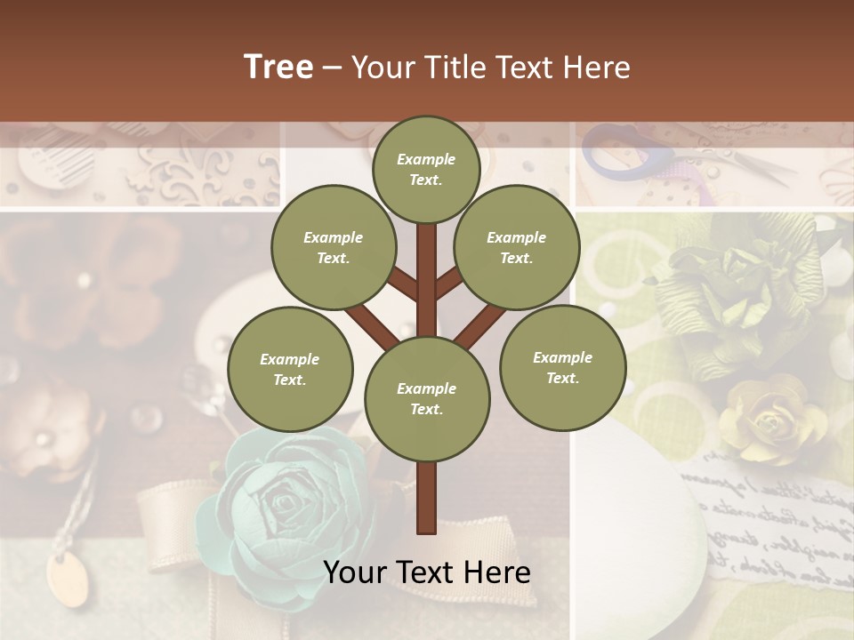 Recreation Close Up Shapes PowerPoint Template