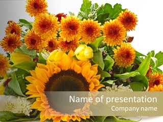 Petal Bright Anniversary PowerPoint Template