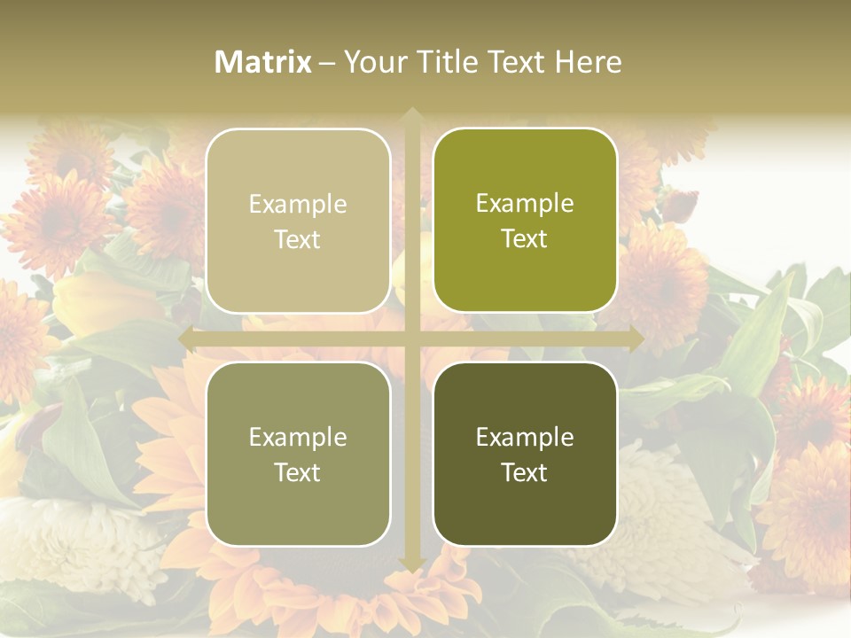 Petal Bright Anniversary PowerPoint Template