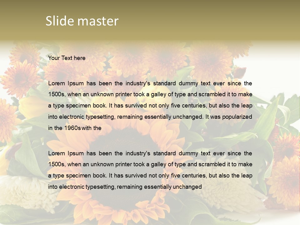 Petal Bright Anniversary PowerPoint Template