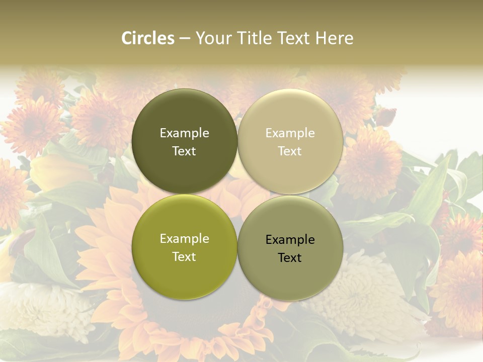 Petal Bright Anniversary PowerPoint Template