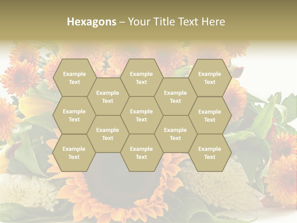 Petal Bright Anniversary PowerPoint Template