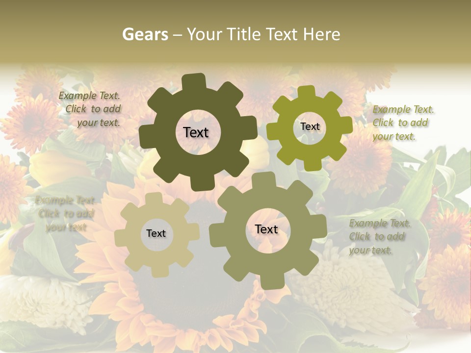 Petal Bright Anniversary PowerPoint Template