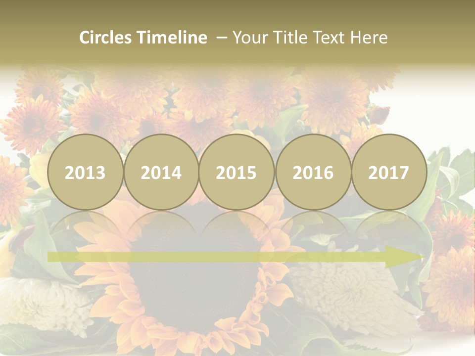 Petal Bright Anniversary PowerPoint Template