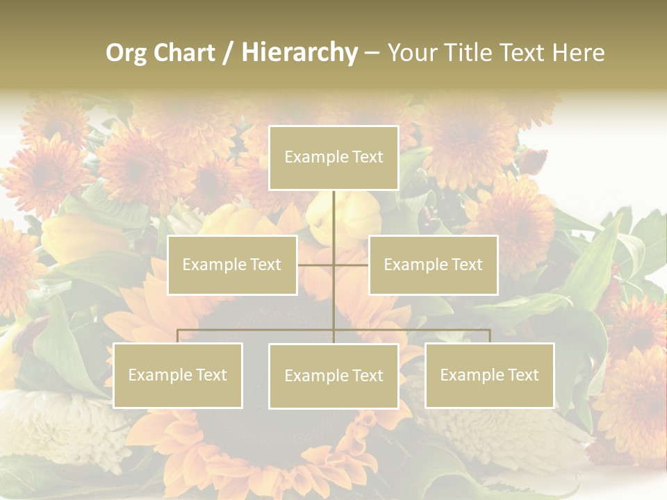 Petal Bright Anniversary PowerPoint Template