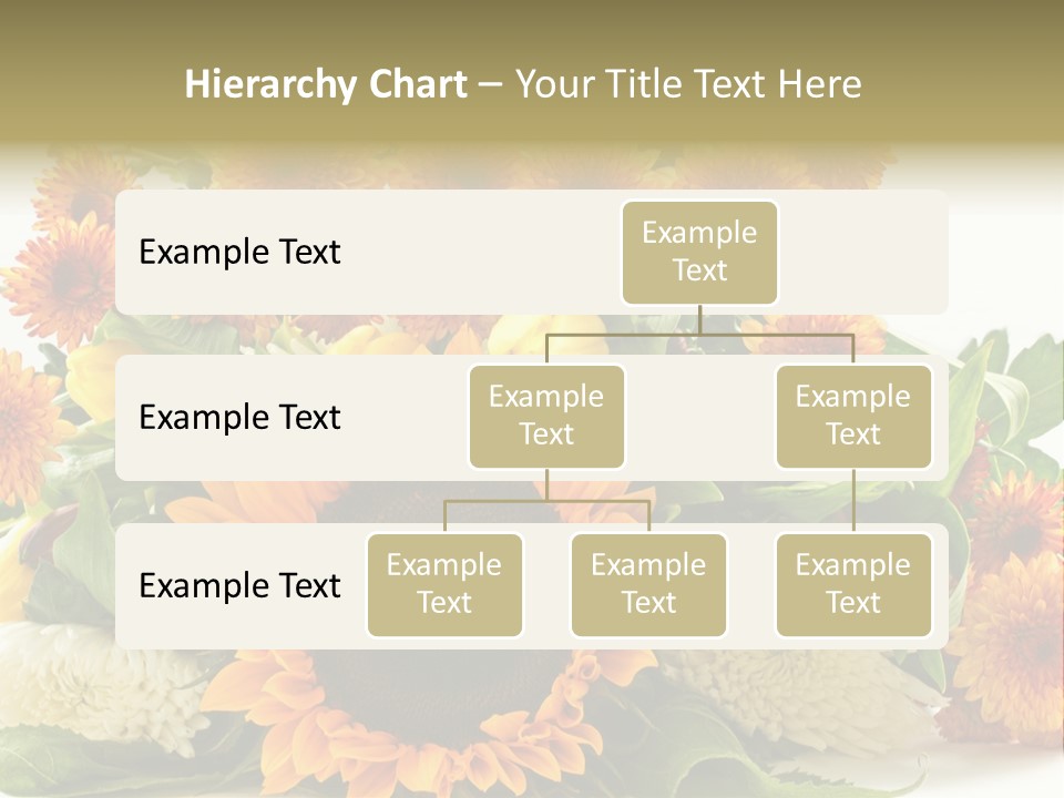 Petal Bright Anniversary PowerPoint Template