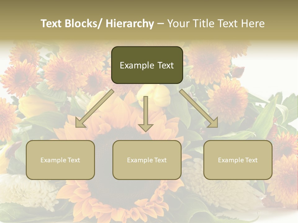 Petal Bright Anniversary PowerPoint Template