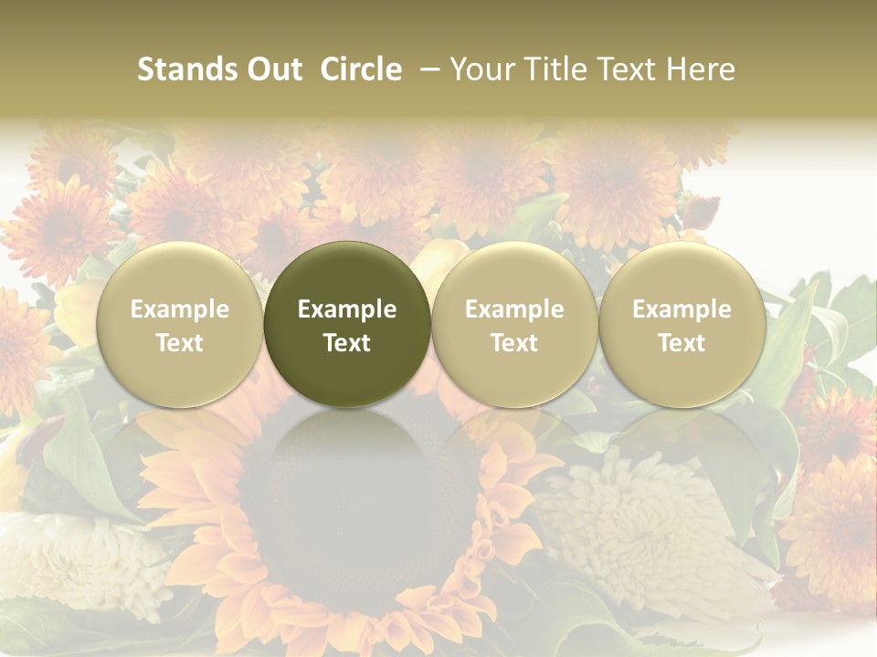 Petal Bright Anniversary PowerPoint Template