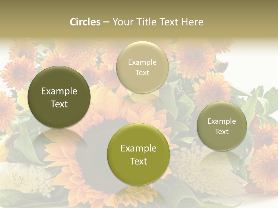 Petal Bright Anniversary PowerPoint Template