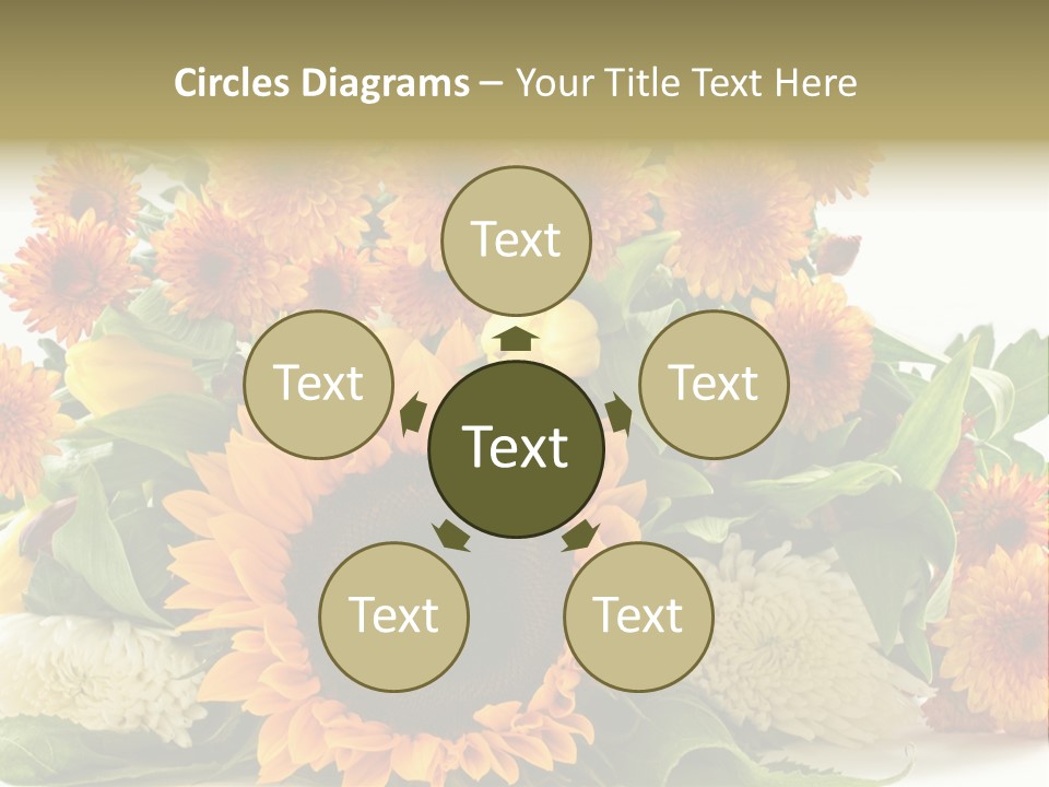 Petal Bright Anniversary PowerPoint Template