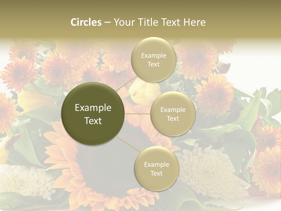 Petal Bright Anniversary PowerPoint Template