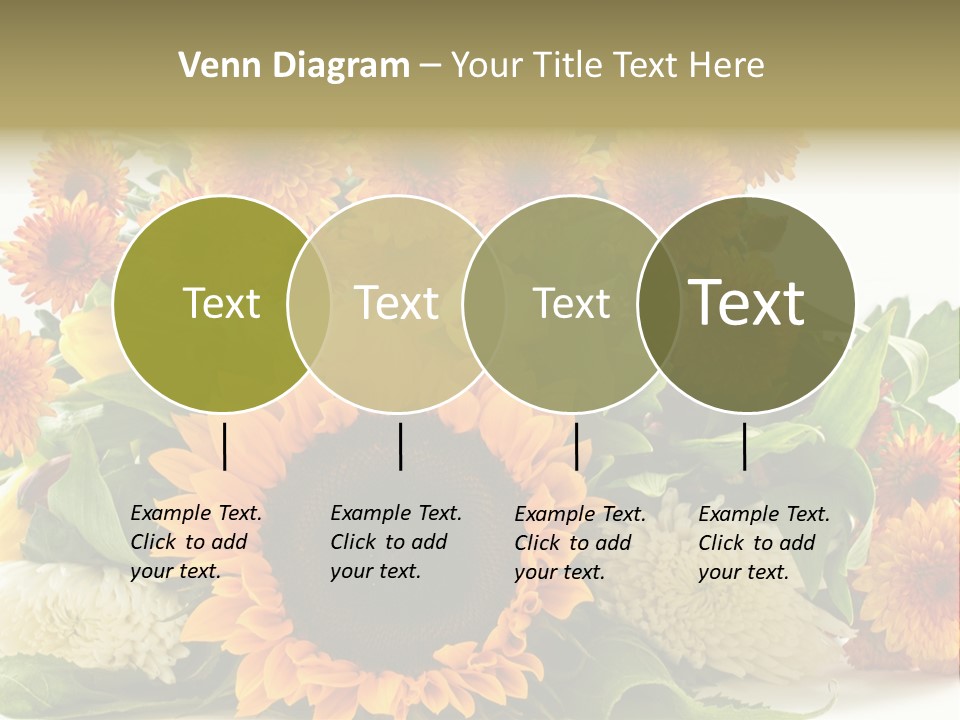 Petal Bright Anniversary PowerPoint Template