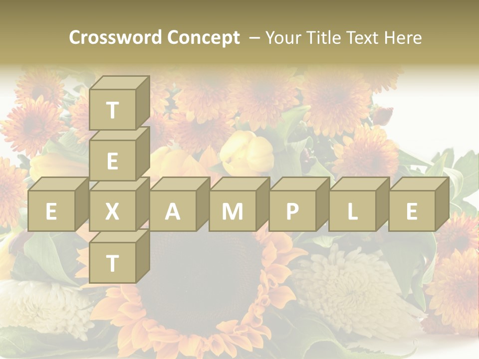 Petal Bright Anniversary PowerPoint Template