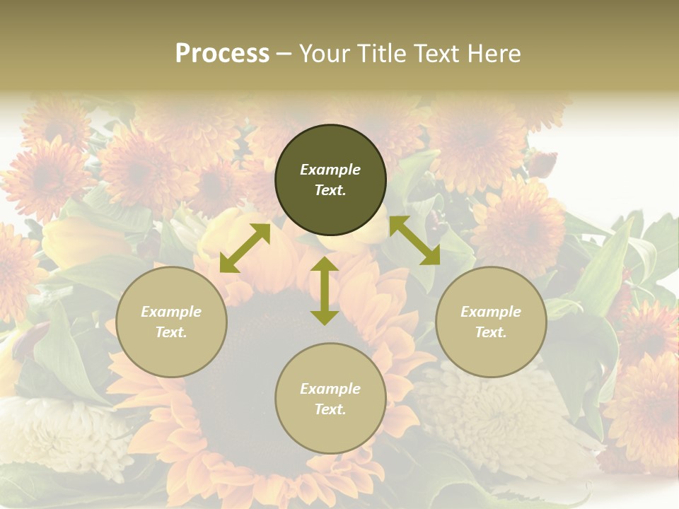 Petal Bright Anniversary PowerPoint Template