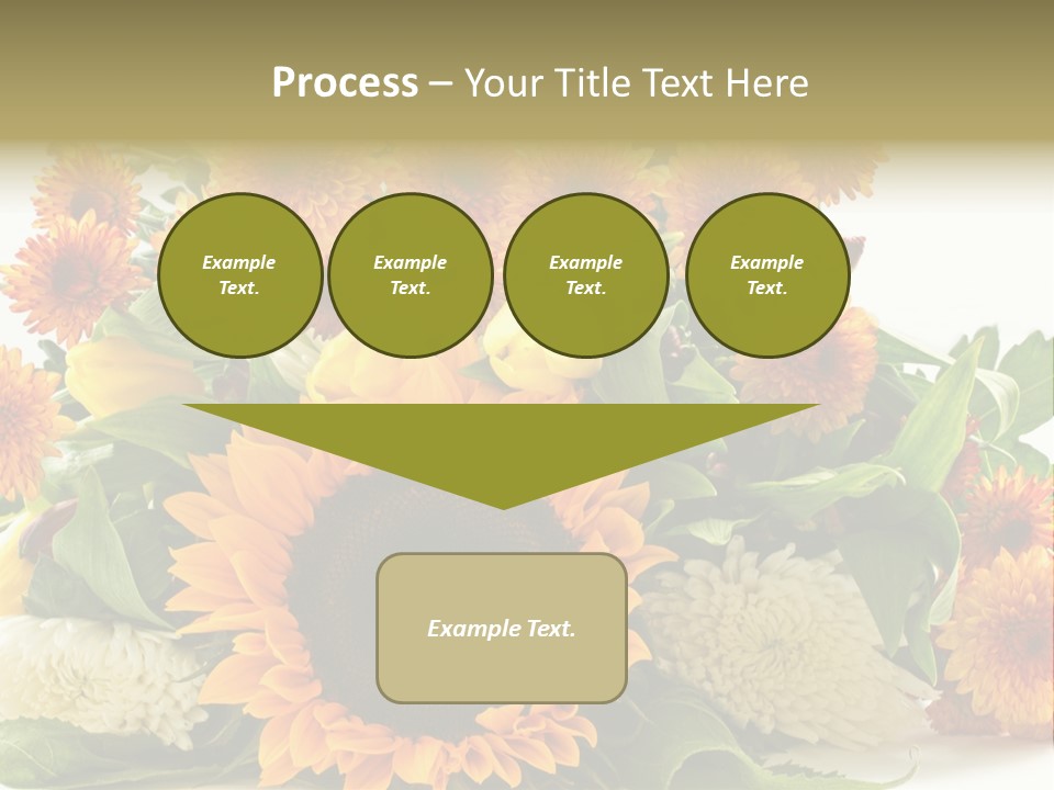 Petal Bright Anniversary PowerPoint Template