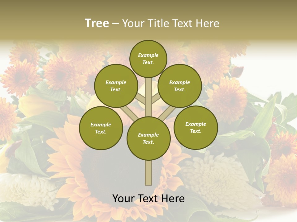 Petal Bright Anniversary PowerPoint Template