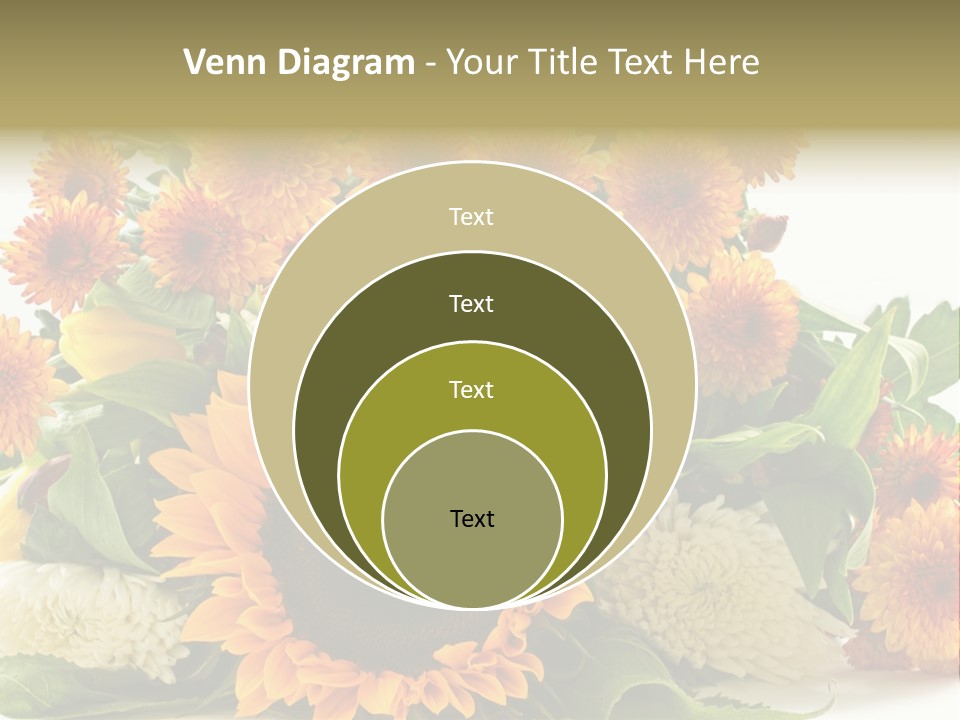 Petal Bright Anniversary PowerPoint Template