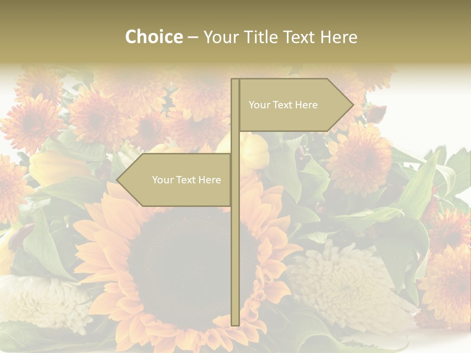 Petal Bright Anniversary PowerPoint Template