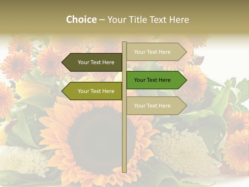 Petal Bright Anniversary PowerPoint Template