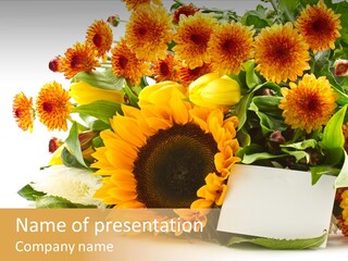 Blossom You Background PowerPoint Template