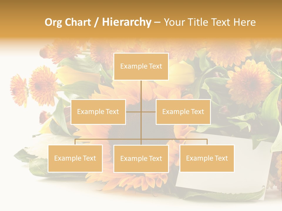 Blossom You Background PowerPoint Template