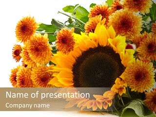 Message You I Love You PowerPoint Template