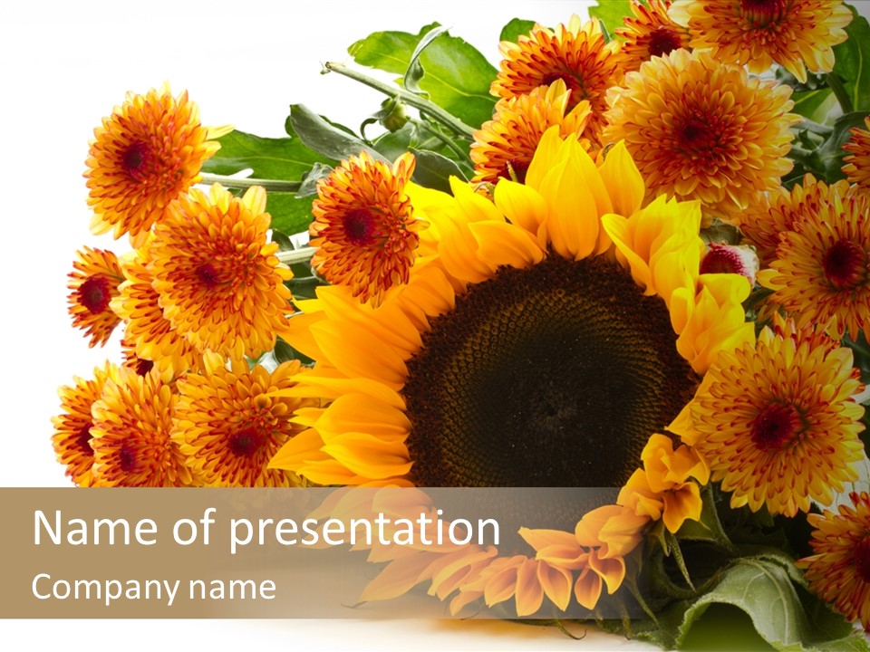 Message You I Love You PowerPoint Template