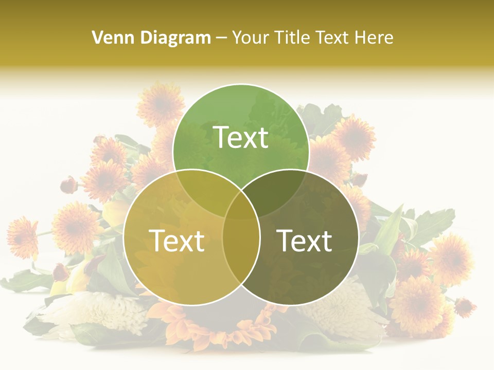 Anniversary Postcard Thank PowerPoint Template