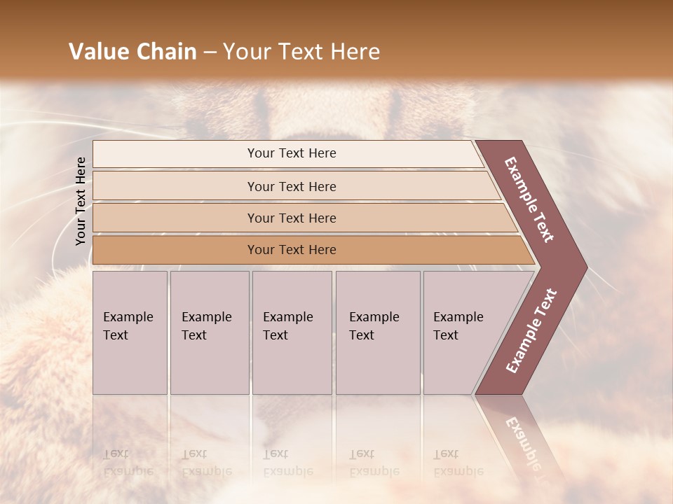 Eye  Attentive PowerPoint Template