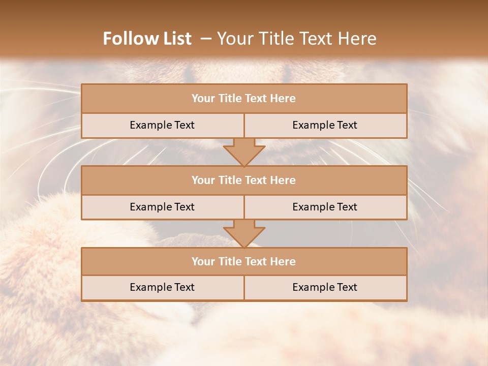 Eye  Attentive PowerPoint Template