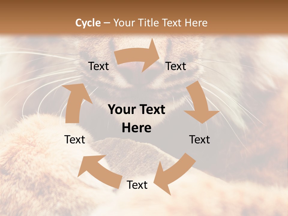 Eye  Attentive PowerPoint Template